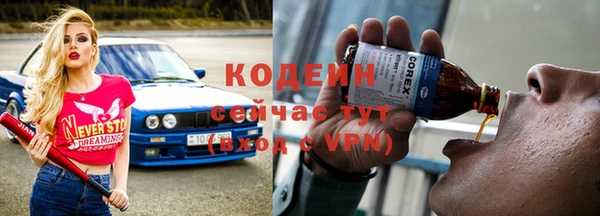 индика Абаза