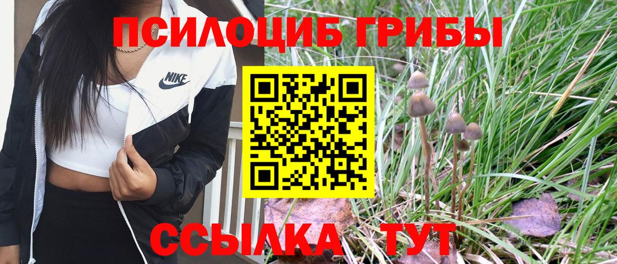 Псилоцибиновые грибы Psilocybe  Вход с VPN  Кумертау 