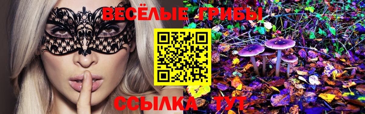 Галлюциногенные грибы мицелий Кумертау