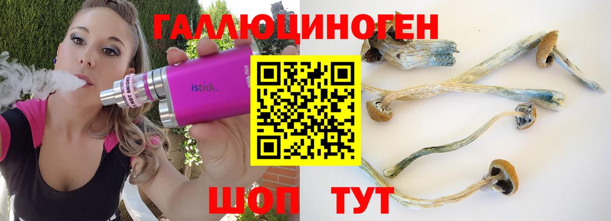 Галлюциногенные грибы GOLDEN TEACHER Кумертау